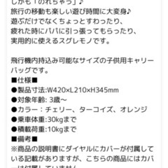Litrolley ビビットピンクの画像