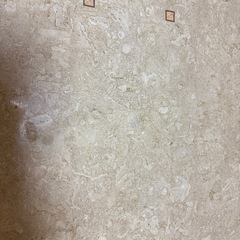 テーブルの画像