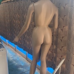 マネキン 昭和レトロ 年代物 
中古品の画像