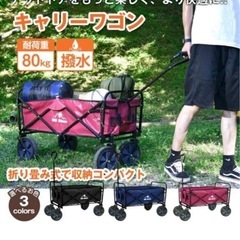 新品　キャリーワゴン　の画像