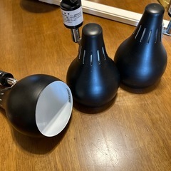  ダクトレールとライト
 の画像
