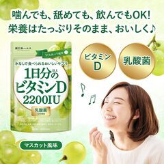 新日本ヘルス 1日分以上のビタミンD 2200IU 乳酸菌100億個 60粒の画像