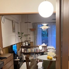 Panasonicペンダントライト・ダクトレールの画像