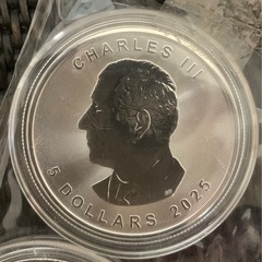 ２０２５年カナダメイプルリーフ銀貨1オンス  2枚セットの画像
