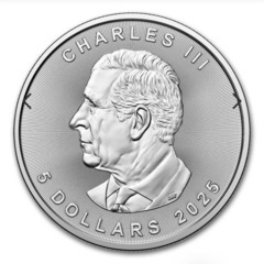 ２０２５年カナダメイプルリーフ銀貨1オンス  2枚セットの画像