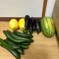 夏野菜　スイカ　なす　きゅうり　など
