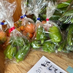 朝取立て　野菜の画像
