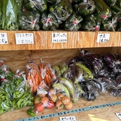 朝取立て　野菜の画像