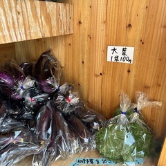 朝取立て　野菜の画像