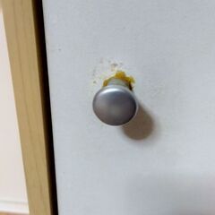 扉付き カラーボックスの画像