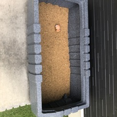 120cm でっかい水槽の画像