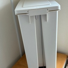 ゴミ箱（ペダル式）45Lの画像