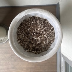 無料大型ホワイト陶器鉢の画像