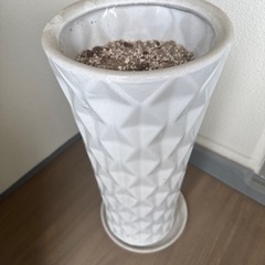 無料大型ホワイト陶器鉢の画像
