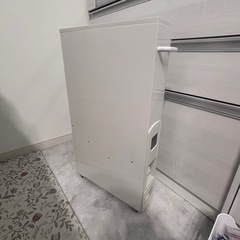 ライスストッカー　米びつ　10kgの画像