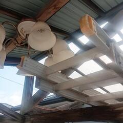 2連ハシゴの画像