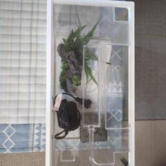 金魚飼育セット(水槽10L、ロカボーイS(ポンプ付き)、置物１個、ロカボーイSかえフィルター2個)の画像