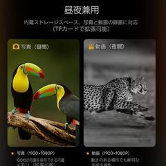 双眼鏡 ナイトビジョン 2.8inchの画像