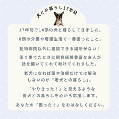 無料！『老犬のためのおはなし会』オンライン開催♪の画像
