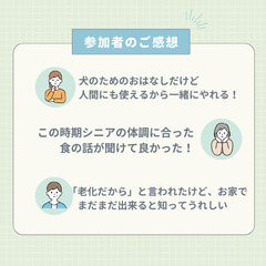 無料！『老犬のためのおはなし会』オンライン開催♪の画像