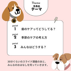 無料！『老犬のためのおはなし会』オンライン開催♪の画像
