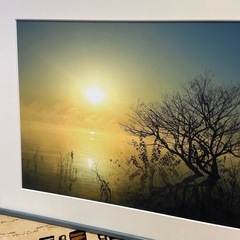 写真　アート作品の画像