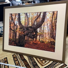 写真　アート作品の画像