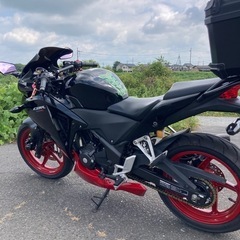 cbr250r 自賠責R11.8月までの画像