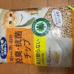 色々相談！物々交換！
猫砂の画像