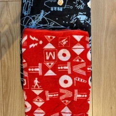 RADWIMPS Tシャツ　タオルの画像