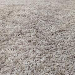 （美品）カーペットの画像