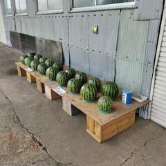 🍉スイカ無人販売所②🍉の画像