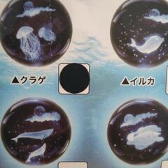 アクアクリスタルミニクラゲの画像