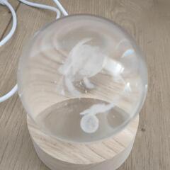 アクアクリスタルミニウミガメの画像