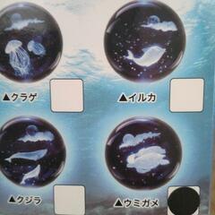 アクアクリスタルミニウミガメの画像