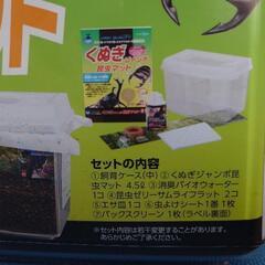 オオクワガタペア飼育セットの画像