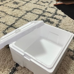 【近日中処分予定】【募集中】発泡スチロールの画像