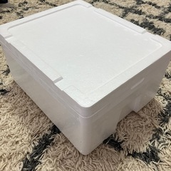 【近日中処分予定】【募集中】発泡スチロールの画像