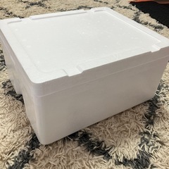 【近日中処分予定】【募集中】発泡スチロールの画像