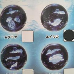 アクアクリスタルミニイルカの画像