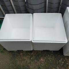 大型発泡容器各種‼️♢名古屋改良メダカ直売所♢店頭無料配布中！の画像