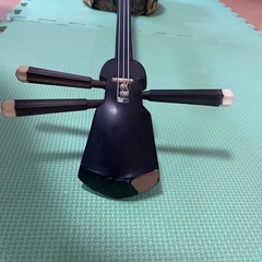 三線 蛇皮の画像