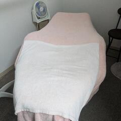 フェイシャルエステ用の施術ベッド（黄ばみあり）【注意事項あり】の画像