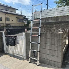 値下げしました。伸縮ラダーの画像