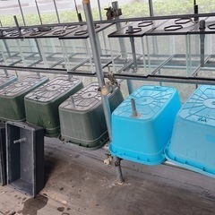 メダカ 用品 大量 詳しくは詳細への画像