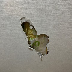 壁紙張り替え、補習やります！の画像