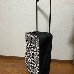 オシャレな布製キャリーバッグの画像