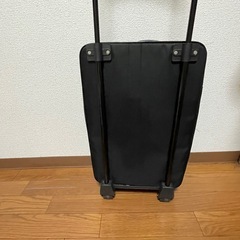 オシャレな布製キャリーバッグの画像
