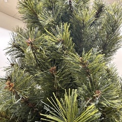 アルザス　クリスマスツリー　180cmの画像