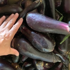 野菜！ナスとピーマン甘ナンバン！村山市！東根市！ひとり親限定！の画像